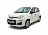 Fiat FIAT PANDA 1.3 MJT 80cv S&S EASY - Fiat Panda EASY mit Diesel-Antrieb