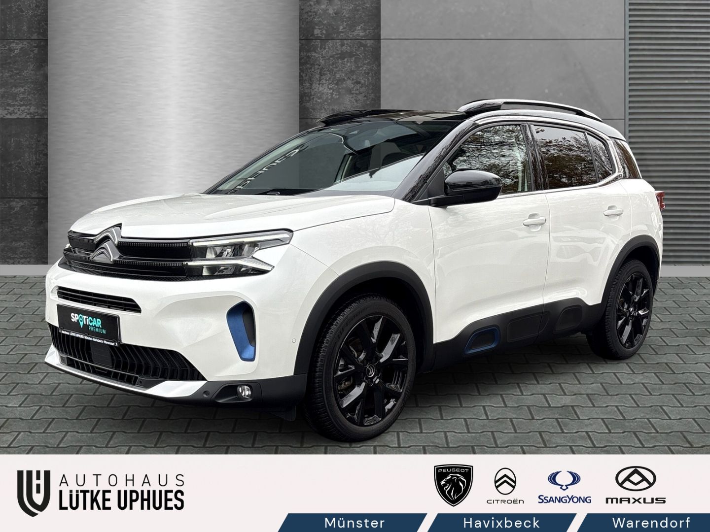 Fahrzeugabbildung Citroën C5 Aircross Shine Pack PT 130 EAT8 El. Pano Navi