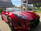 Jaguar F-Type 3.0 L V6 S Kompressor Automatik S - Jaguar F-Type aus 2016
