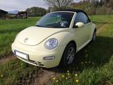 Volkswagen Beetle 1.9TDI Cabrio Comfortline Leder Klima AHK - mit Diesel-Antrieb: Gelb, Cabrio
