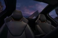 Cupra Andere - Vorschau Bild 8