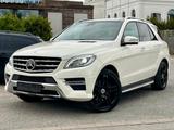 Mercedes-Benz ML350 CDI Edition 1 ~ AMG LINE ~ PANO ~ MEMORY ~ - Mercedes-Benz ML 350 in Essen