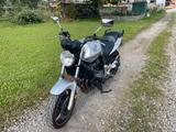 Honda CBF 600 mit Drossel auf 48Ps - HONDA 2004 CBF600