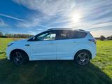 Ford ST-Line AWD+AUTOMATIK+NAVI+Kam+AHK - Ford Kuga von privat