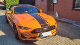 Ford Mustang 5.0 Ti-VCT V8 GT Auto GT mit Magne Ride  - Ford Mustang in Kiel