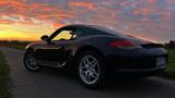 Porsche Cayman 987.2 Facelift Scheckheft Sitzbelüftung - gebrauchte Porsche Cayman aus dem Jahr 2011
