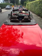 Peugeot 504 Cabrio  - Peugeot 504 Gebrauchtwagen