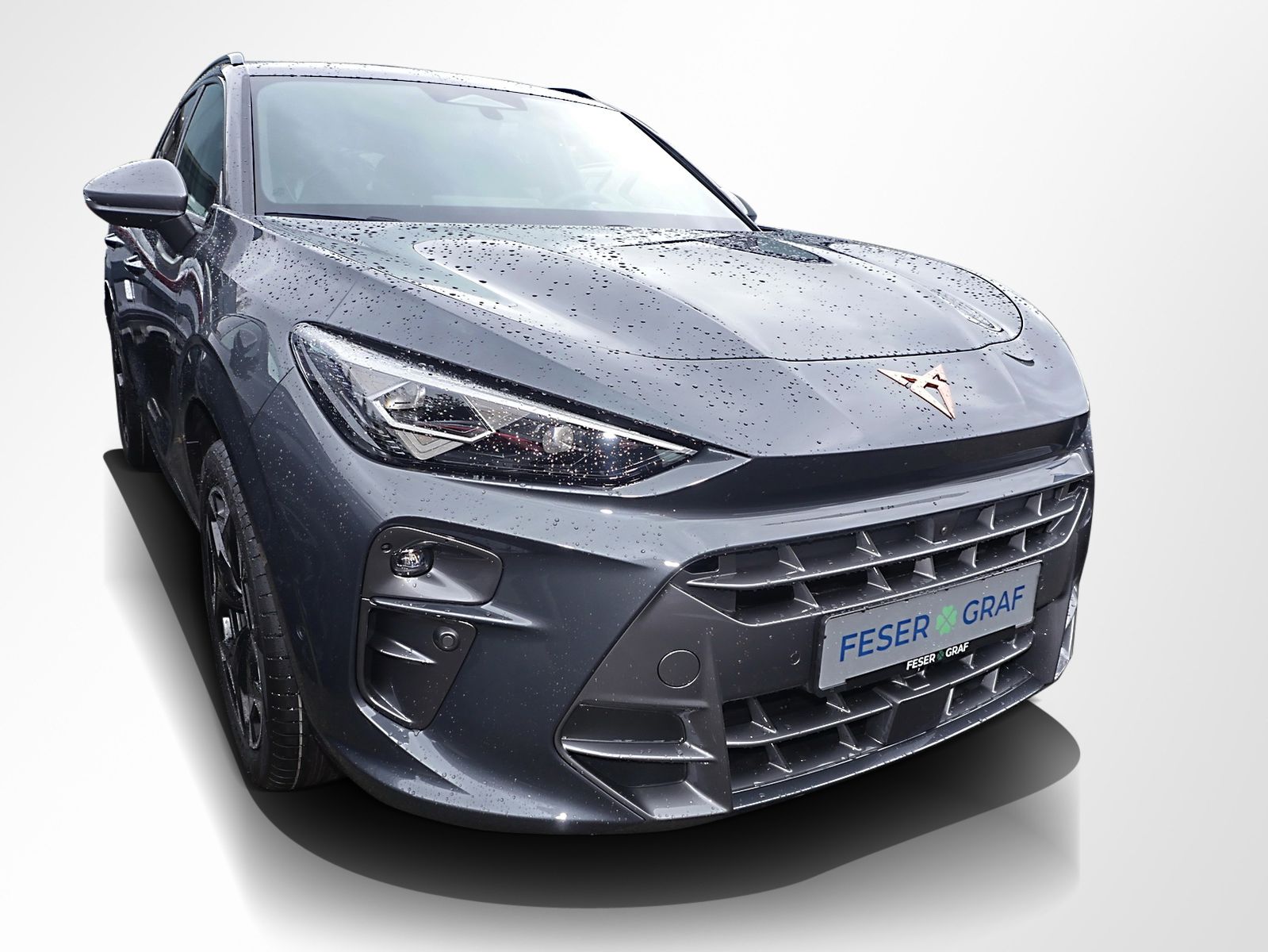 Cupra Terramar - Bild 5