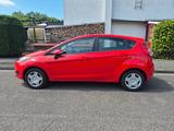 Ford Fiesta 1,0 59kW Titanium *KLIMA*SZHZ*PDC*TÜV*NEU - Ford Fiesta von privat
