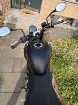 Triumph Trident 660 inkl. Quickshifter+ - TRIUMPH TRIDENT