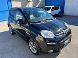Fiat Panda trekking 4x4-1.3 mjt-2014 - Fiat Panda: Trekking