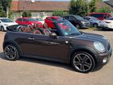 MINI COOPER Cabrio Cooper 1,6 *KLIMA*LEDER*EURO 5* - MINI MINI: Braun, Cabrio