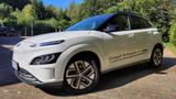 Hyundai Kona Elektro AT 39 kWh Trend Sitzheizung+Kamera - Hyundai KONA: Trend