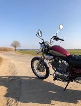 Yamaha XV 535 Virago SP 2YL original SP Ausführung - YAMAHA VIRAGO