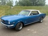 Ford Mustang V8, Cabriolet elekt. Verdeck - Ford Mustang Oldtimer mit Benzin-Antrieb: Cabrio