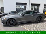 Ford Mustang Fastback Since 1964 Kamera - Ford Mustang: Fast