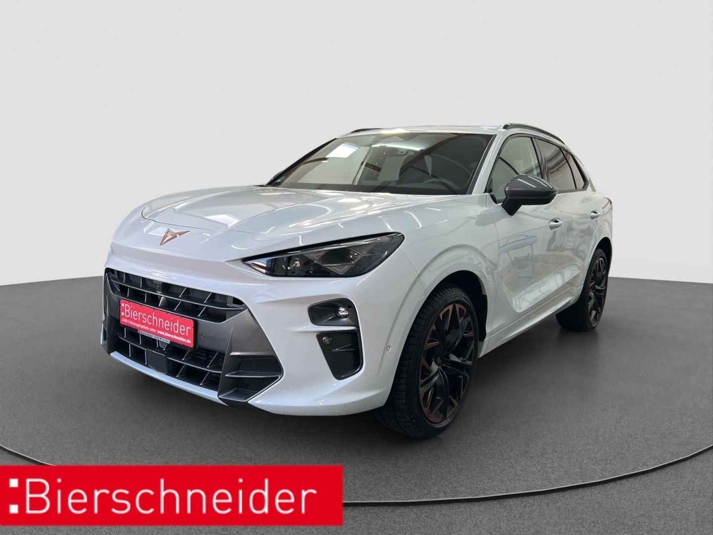 Cupra Terramar 2.0 TSI DSG 4Dr. VZ 990.- Anz. HEAD UP 
