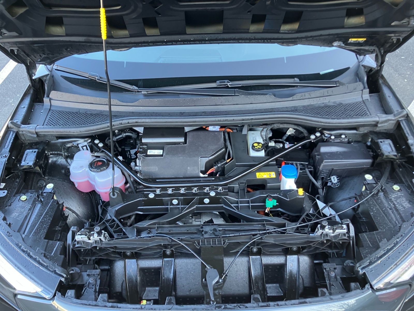 Audi Q4 e-tron - Bild 9