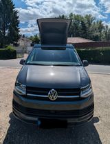 Volkswagen T6 Multivan - Campervan - Volkswagen: Multivan Camper
