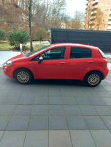 Fiat Punto Young - Fiat Punto: Rot