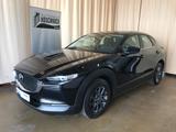 Mazda CX-30 SKYACTIV-G 2.0 150 M Hybrid 6GS SELECTION - Mazda CX-30 Gebrauchtwagen in Berlin