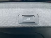 Cupra Terramar - Vorschau Bild 15