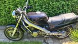 Honda NTV 650 - HONDA NTV 650
