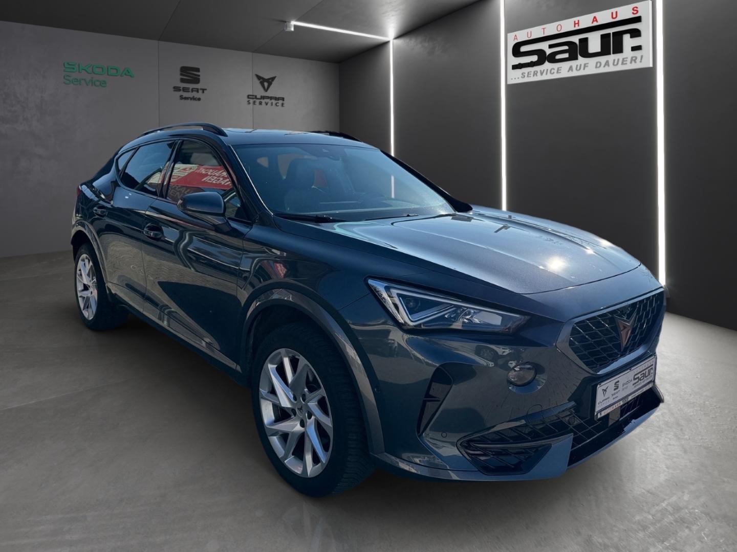 Cupra Formentor 2.0 TDI AHK TOP VIEW PANORAMA BEATS NA