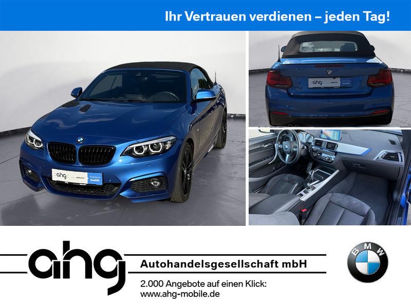 BMW 220i Cabrio M Sport Navi Klima PDC Kamera Harman