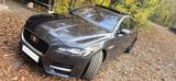 Jaguar XF 30d 300PS R-Sport Automatik  - Jaguar XF: 30d