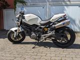 Ducati Monster 696 ABS A2 (35 KW) TERMIGNONI - Offers matching your search criteria