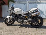 Ducati Monster 696 ABS A2 (35 KW) TERMIGNONI - Angebote entsprechen deinen Suchkriterien