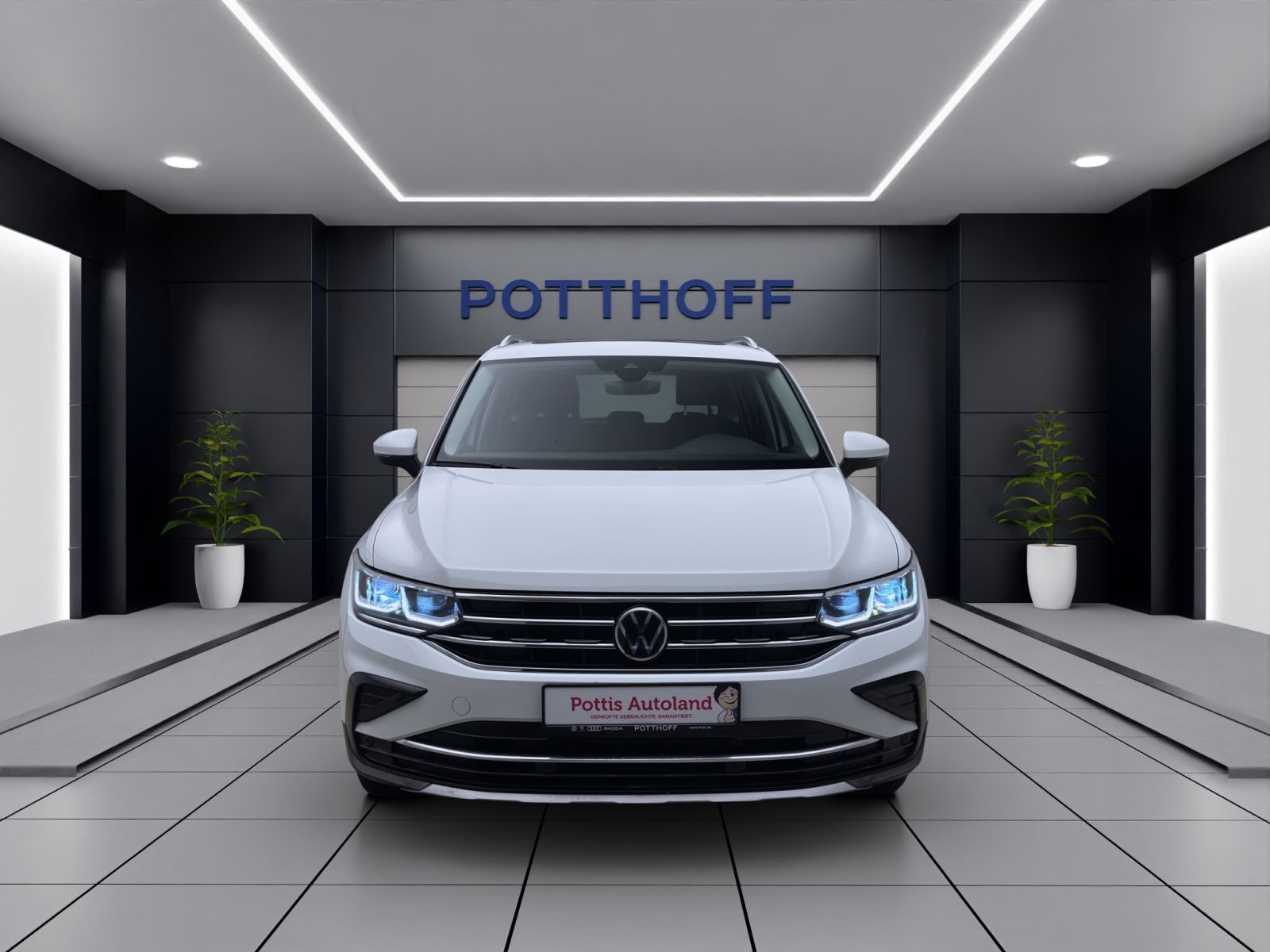 Volkswagen Tiguan - Bild 8