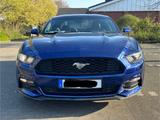 Ford Mustang3,7L+wenig km+Sportabgasan.+KeyFree+Xenon - Ford Mustang Gebrauchtwagen in Düsseldorf
