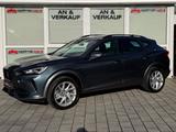 Cupra Formentor 2.0 TDI 4Drive/AHK/VIRTUAL/NAVI/ACC - Cupra Formentor in Mannheim