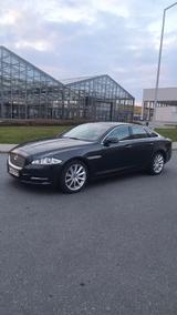 Jaguar XJ Premium Luxury 3.0 V6 Diesel S Premium Luxury - gebrauchte Jaguar XJ aus dem Jahr 2011