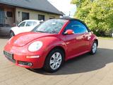Volkswagen New Beetle Cabriolet 1.8 Turbo|SHZ|PDC| - Volkswagen New Beetle: Turbo