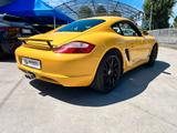 Porsche Cayman 2.7 - Porsche: Gelb