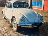 Volkswagen Käfer ( México) mit H-Kennzeichen und Gutachten - Volkswagen Käfer Mexico mit Benzin-Antrieb