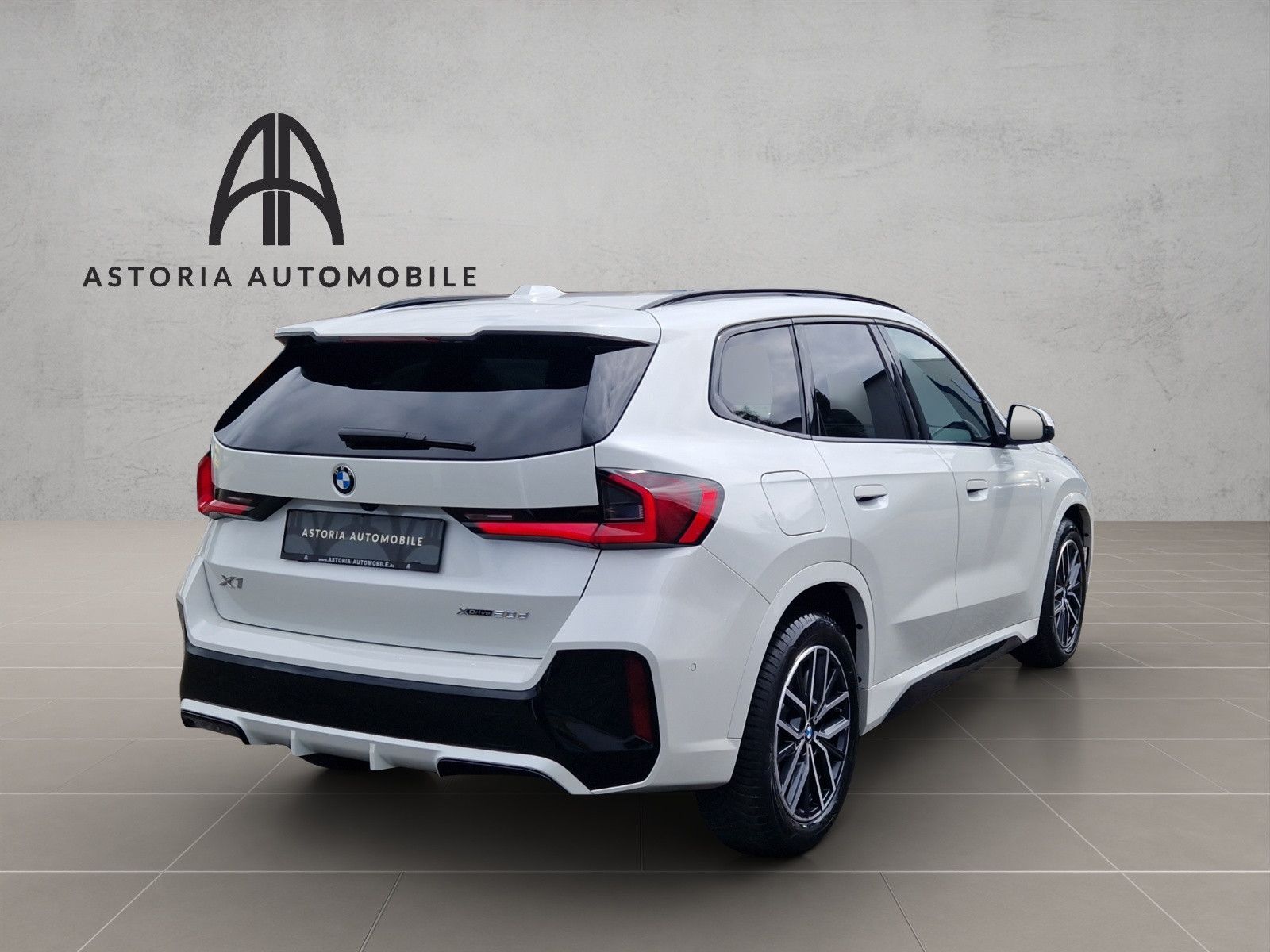BMW X1 20 d xDrive M-Sport Hexacube DAB Kamera Alcan foto 8