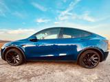 Tesla Model Y LR AWD 20Zoll blau metallic / WEIß IR - blaue Tesla Model Y