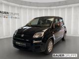 Fiat Pandina 1.0 GSE Hybrid 48 kW Icon - schwarze Fiat New Panda
