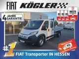 Fiat DUCATO PRITSCHE DOKA 35 Maxi L4H1 180D KAMERA - Fiat Ducato: Pritsche Doka