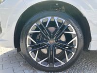 Cupra Terramar - Vorschau Bild 13