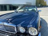 Jaguar XJ12 - Jaguar: 12