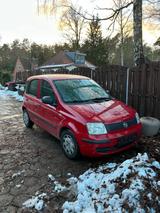 Fiat Kleiner feiner Fiat Panda mit TÜV bis Mai ... - : Kleine