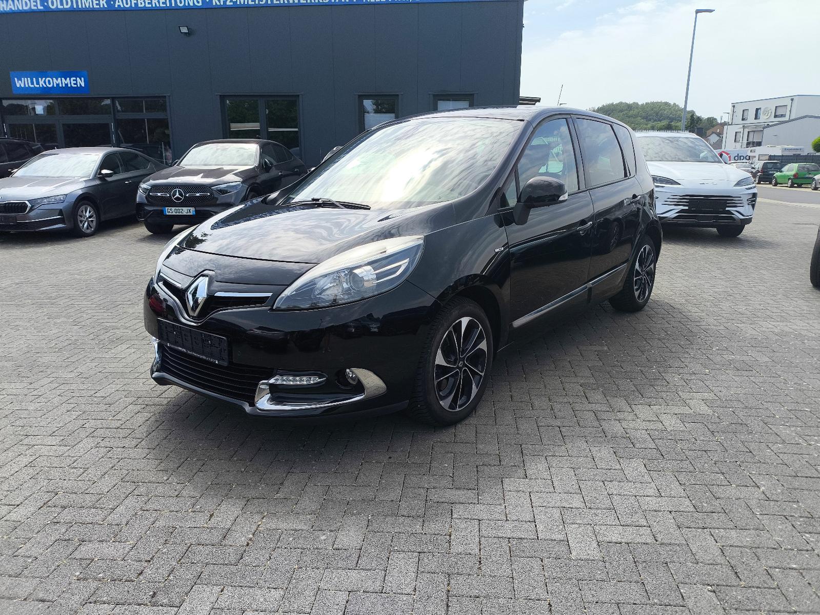 Renault Scenic III BOSE Edition,2HD,KLIMA,LEDER,NAVI