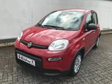 Fiat Panda MY24 1.0 GSE Hybrid Klimaanlage - Fiat Panda Gebrauchtwagen in Aachen