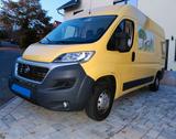 Fiat Ducato 250 Kühltransporter  - Kühltransporter