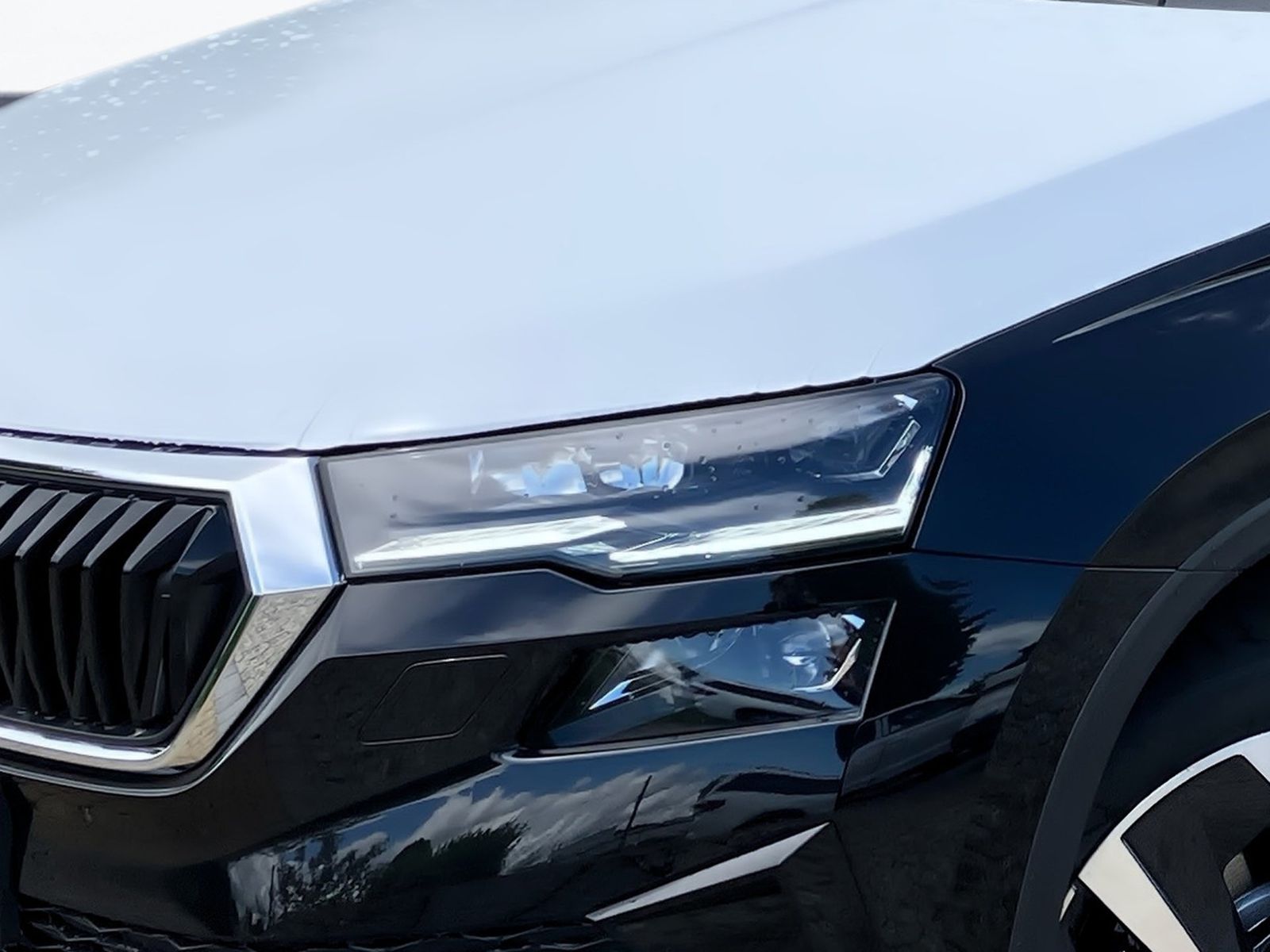 Skoda Karoq - Bild 6